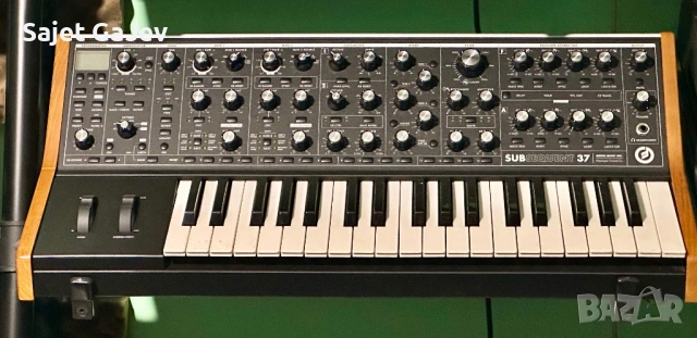 Moog Subsequent 37 Analog Synth