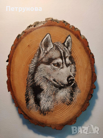 Рисувам професионално портрети по снимка, снимка 10 - Картини - 53646100