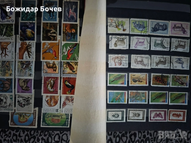 Пощенски марки , снимка 8 - Филателия - 53295308