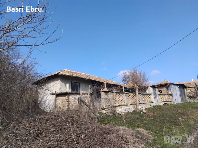 Община Разград  Село Благоево