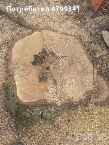 Дървен материал орех, снимка 5 - Други - 54221452