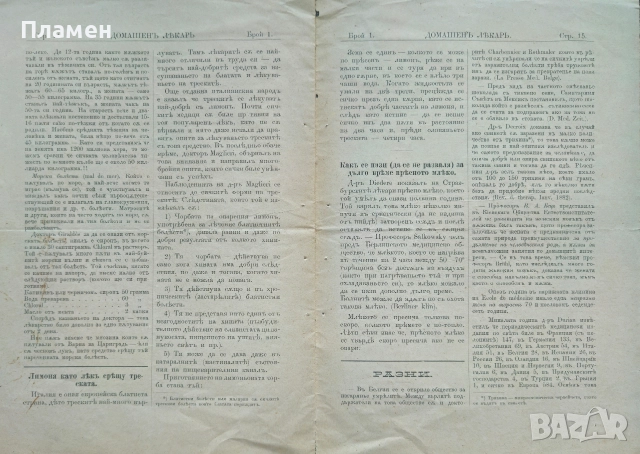 Домашенъ лекарь. Год. 1: Бр. 1 /1884, снимка 5 - Антикварни и старинни предмети - 52561430