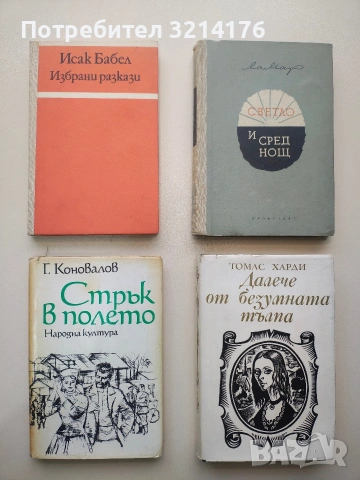 Далече от безумната тълпа - Томас Харди