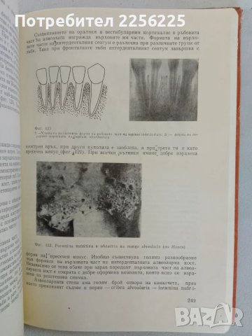 Терапевтична патология , снимка 4 - Специализирана литература - 47491657