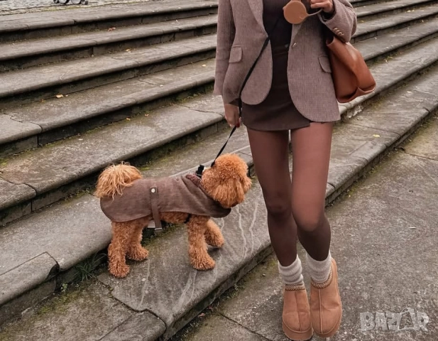 пантофи UGG, снимка 2 - Пантофи - 52152053