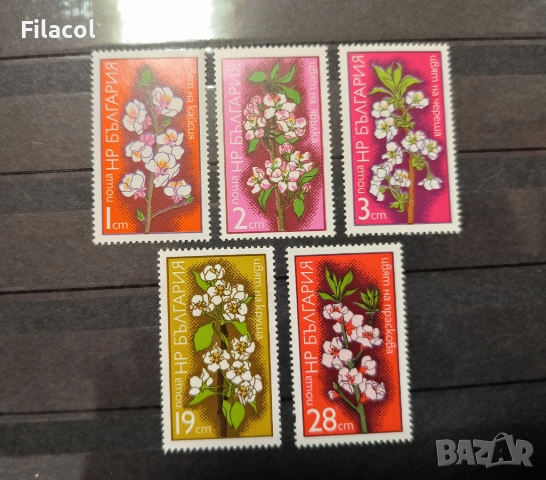 България 1975 г. Цветове на плодни дръвчета