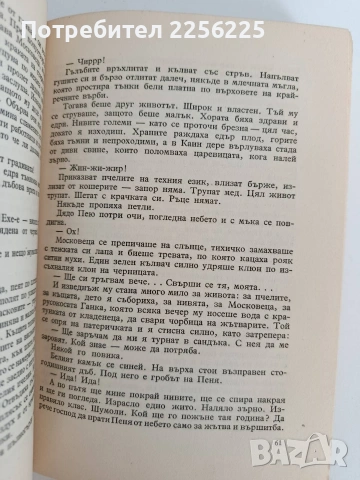 Ангел Каралийчев- Избрани творби, снимка 9 - Българска литература - 53404085