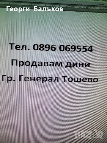 Производител продава дини., снимка 1 - Домашни продукти - 46903014