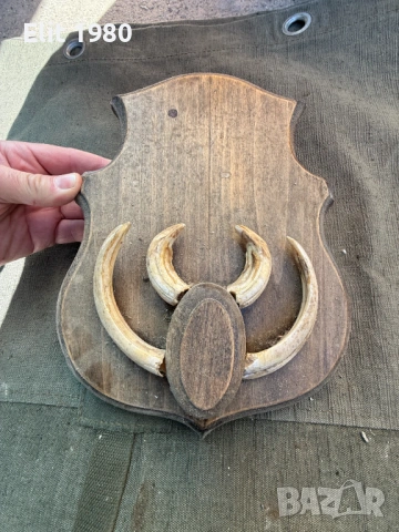 Ловен трофей 