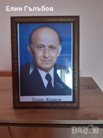 Портрет на Тодор Живков, 25/35 см. в дървена рамка, снимка 6 - Антикварни и старинни предмети - 54157865