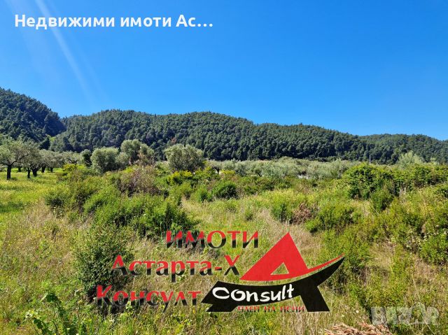 Астарта-Х Консулт продава парцел във Вурвуру Халкидики Ситония Гърция , снимка 1 - Парцели - 45143450