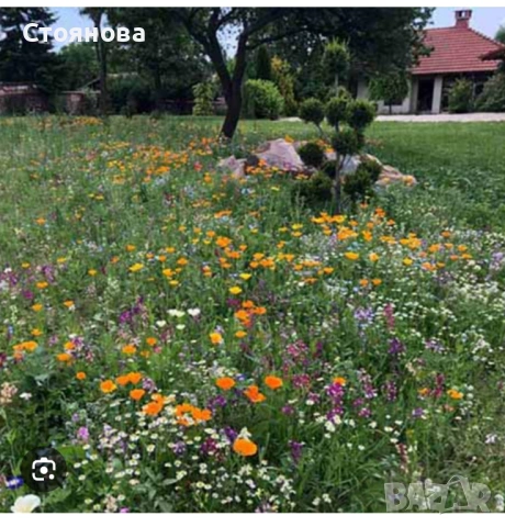 Парцел в град Добрич 