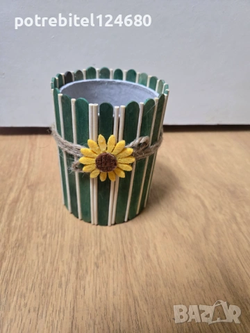 Сладурска кашпа , снимка 2 - Стайни растения - 53220432