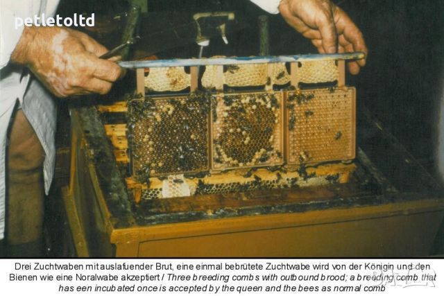 Опорен държач, гладък - за Йентеров апарат Karl Jenter, Germany - опаковка - 50 бр, снимка 7 - За пчели - 45403604