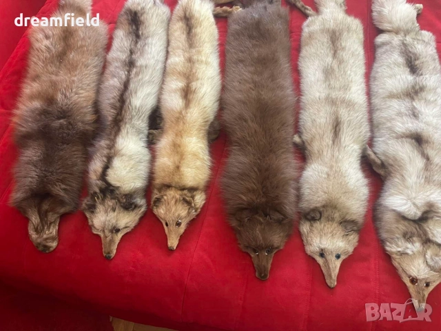 Сребърна лисица-ЯКИ- различни цветове, снимка 9 - Шалове - 50317077