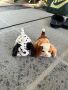 Малки кученца Furreal friends snuggimals, снимка 1 - Образователни игри - 45596040