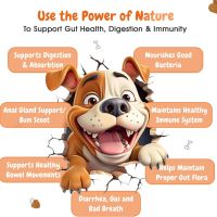 Пре, про и постбиотици за кучета за храносмилане, имунитет, 120 дъвчащи дъвки, патешки вкус, снимка 9 - За кучета - 45749818