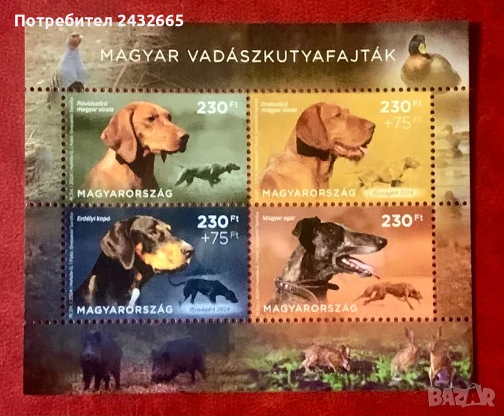 2197. Унгария 2024 ~ “ Фауна. Унгарски породи ловни кучета. За младежта.”, **, MNH, снимка 1