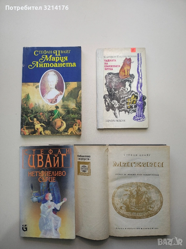 Тайната на оранжевата котка. 10 автори от 10 страни разказват една вълнуваща история - Сборник, снимка 1