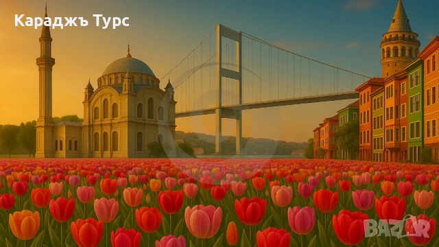 Истанбул в лалета🌷 – пролетна приказка край Босфора 4 дни / 2 нощувки и 🎁 Всеки 6-ти пътува безпла, снимка 2 - Почивки в Турция - 53856011