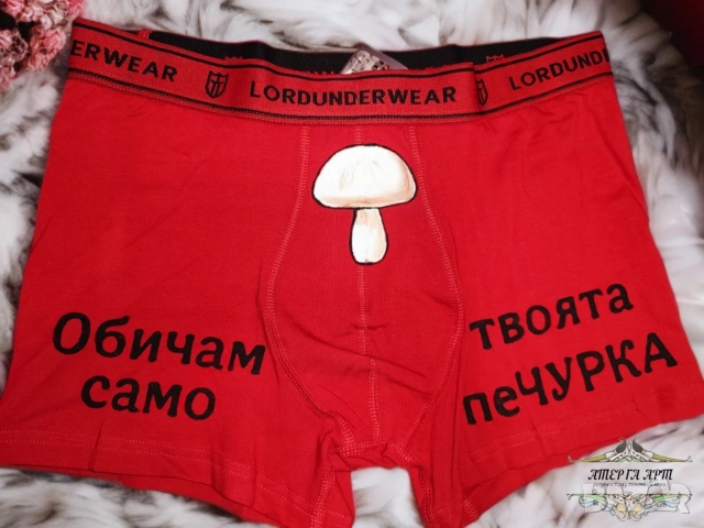 Персонализирани хумористични боксерки, снимка 2 - Бельо - 53297314