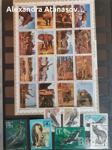 Класьори с пощенски марки, снимка 16 - Филателия - 51156532