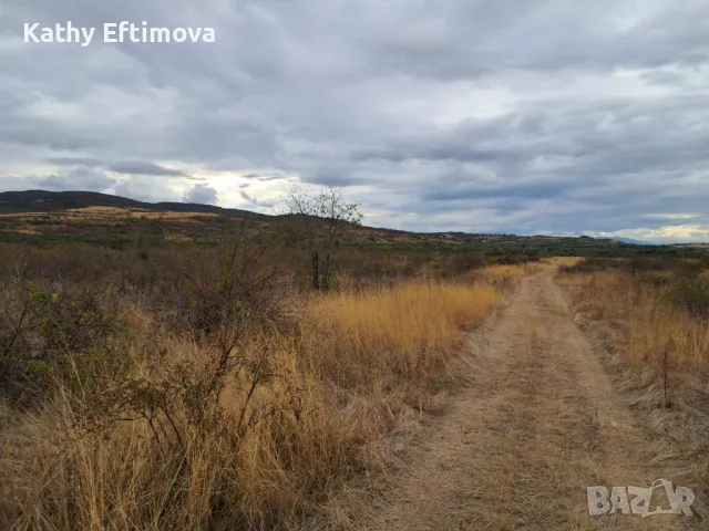 ЗЕМЕДЕЛСКА ЗЕМЯ СЕЛО ПЪРВЕНЕЦ, ОБЛАСТ ПЛОВДИВ , снимка 4 - Земеделска земя - 47307581