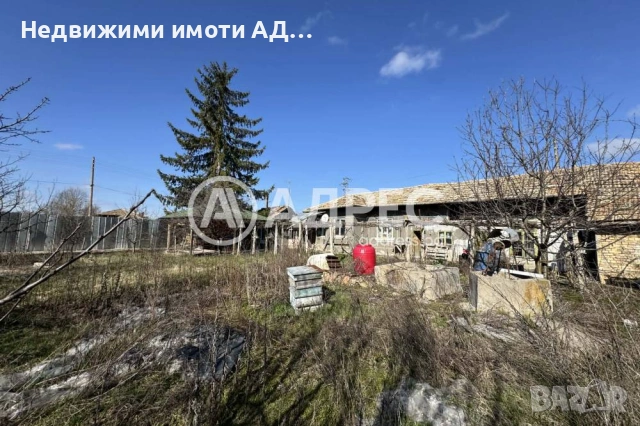 Едноетажна къща с голям двор в с. Кардам, близо до гр. Попово, снимка 2 - Къщи - 53778760