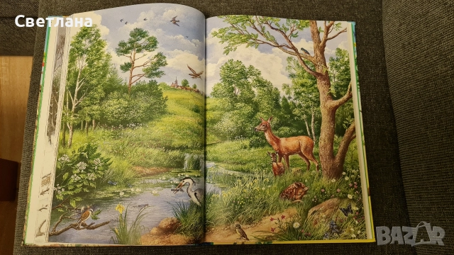 Детски книжки на руски език , снимка 16 - Детски книжки - 50683527