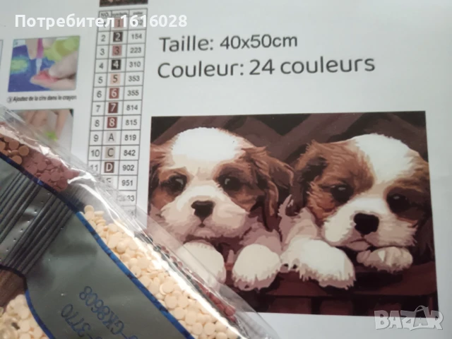 Нов голям диамантен Гоблен опънат на платно - картина,"Двете кученца"., снимка 3 - Гоблени - 50648513