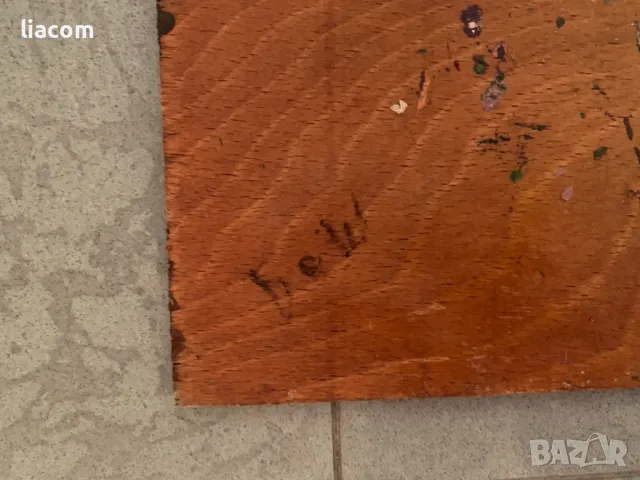 Боно Шкодров (1935 - 2015), снимка 5 - Картини - 50095479