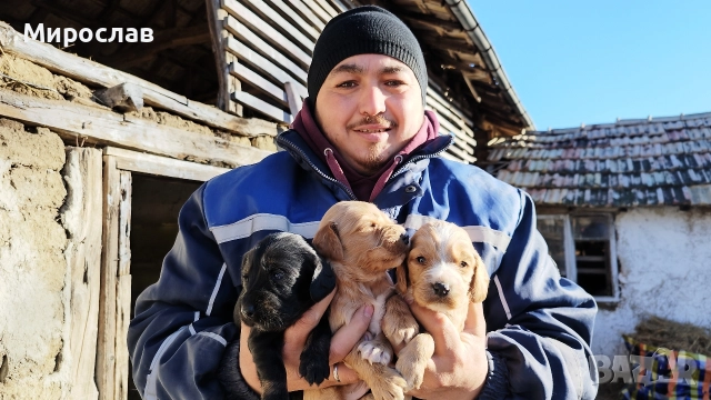 Останаха само 2 мъжки