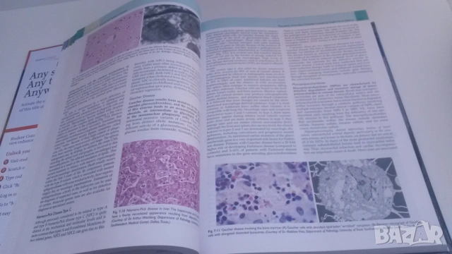 Основна патология - Basic Pathology - Robbins, 10-то издание, снимка 10 - Учебници, учебни тетрадки - 54084484