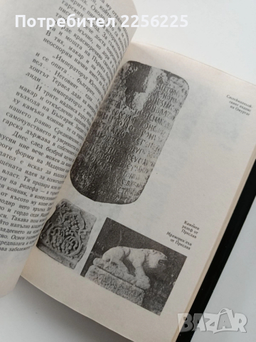 Вечно зеленото клонче, снимка 5 - Специализирана литература - 54066443