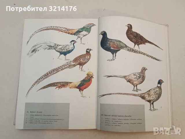 Myslivost. Státní zemědělské nakladatelství – Колектив (1966), снимка 6 - Специализирана литература - 51428570