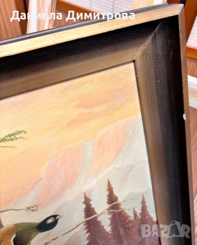 Рисувана картина на фазер, снимка 6 - Картини - 54205579