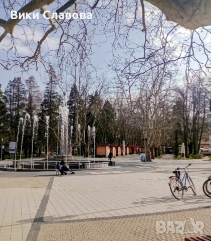 Стаи за гости в Спа-курорт Вършец, снимка 10 - Квартири, нощувки - 52612402