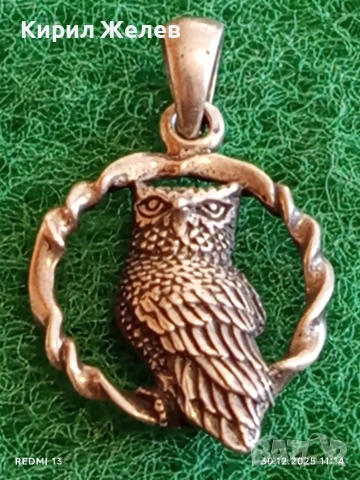 Модерен дизайн сребърна висулка БУХАЛ в ВЕНЕЦ символизира мъдрост и знание 52544, снимка 7 - Колиета, медальони, синджири - 52934443