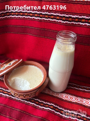 Производство на натурални млечни продукти произведени в България, снимка 2 - Домашни продукти - 53813274