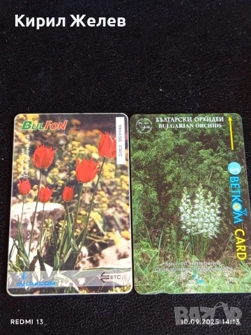 Две фонокарти БЕТКОМ, БУЛ ФОН Тема ОРХИДЕИ,РОДОПСКО ЛАЛЕ за КОЛЕКЦИЯ ДЕКОРАЦИЯ 12591
