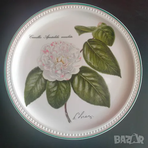 Порцелан чиния Villeroy & Boch Nicolas Liex Camellia Apertabilis Maculata 1993 23.5 см, снимка 10 - Колекции - 47329598