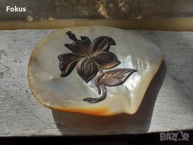 Голяма седефена мида с апликация от сребро