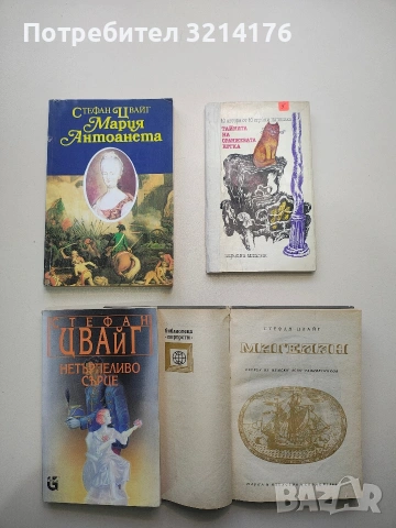 Тайната на оранжевата котка. 10 автори от 10 страни разказват една вълнуваща история - Сборник