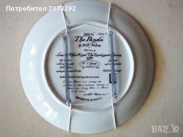  The Panda"Последни от рода си застрашени видове"- Will Nelson , снимка 2 - Други - 51081218