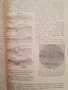 Как да предпазим оръжието от корозия / В.Н.Падубин , снимка 5