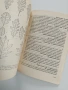 Ръководство за упражнения по дендрология и декоративна дендрология, снимка 8