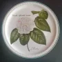 Порцелан чиния Villeroy & Boch Nicolas Liex Camellia Apertabilis Maculata 1993 23.5 см, снимка 10