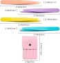 Нови 4 броя Прецизни пинсети от неръждаема стомана за лицево окосмяване, снимка 2