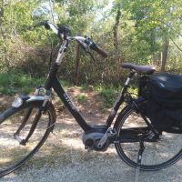 Електрически велосипед Газела, снимка 1 - Велосипеди - 45381407