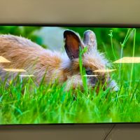  OLED TV LG 65B19LA, снимка 3 - Телевизори - 45235842